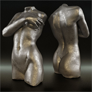 Torso Christopher Guy